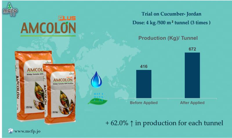 Effect of Amcolon plus product on cucumber crop